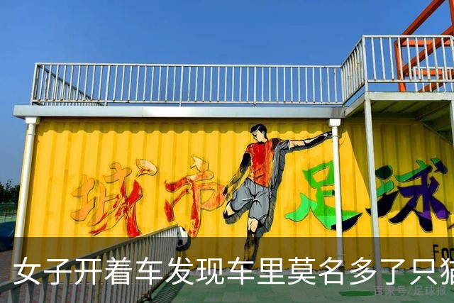 女子开着车发现车里莫名多了只猫，最后找到一家四口，人都懵了：你们一家什么时候搬进来的？